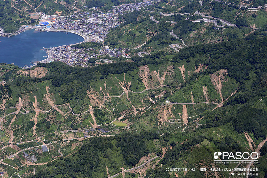 宇和島市吉田町深浦　数多く発生した山地斜面の崩壊