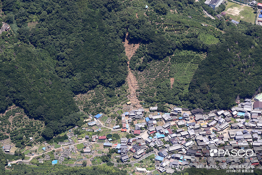 愛媛県西予市明浜町宮野浦　集落背後の斜面頂部付近で崩壊が発生し、土砂が集落内に流入